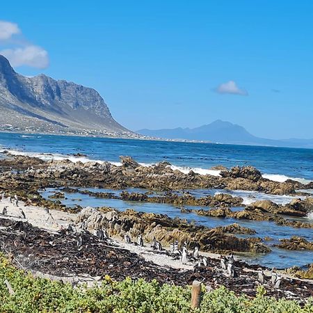 Brandys Beach House Bettyʼs Bay Exterior foto