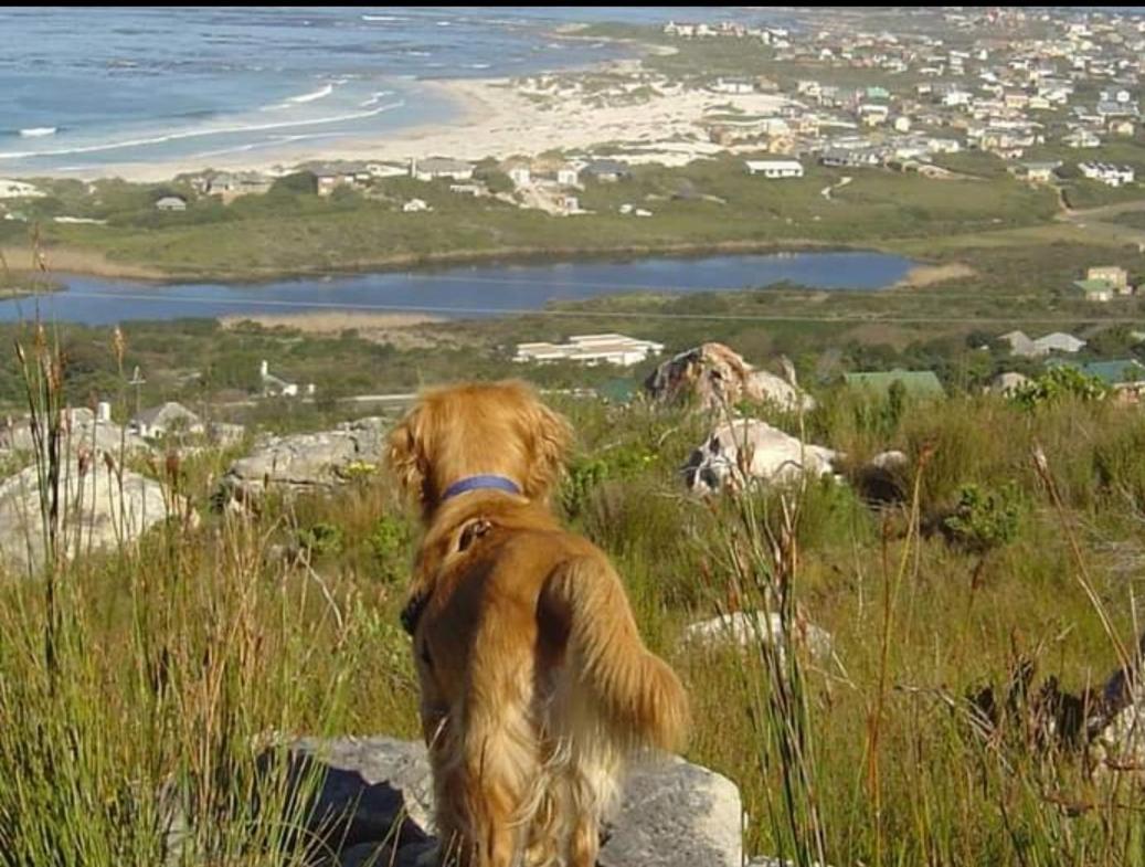 Brandys Beach House Bettyʼs Bay Exterior foto