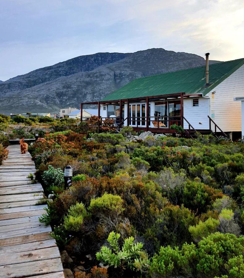 Brandys Beach House Bettyʼs Bay Exterior foto