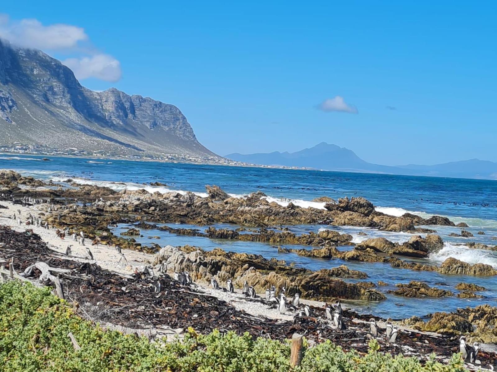 Brandys Beach House Bettyʼs Bay Exterior foto