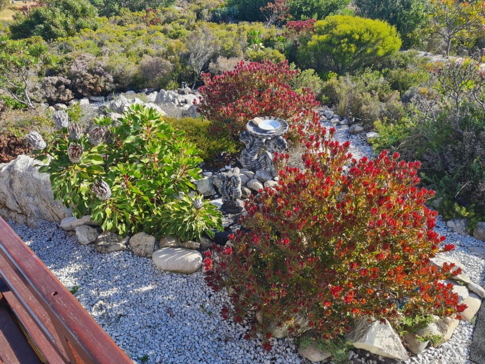 Brandys Beach House Bettyʼs Bay Exterior foto